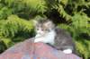 unegagirln092415_small.jpg