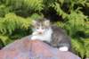 unegagirln092416_small.jpg