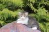 unegagirln092417_small.jpg