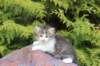 unegagirln092418_small.jpg