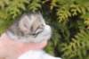 unegagirln092419_small.jpg