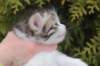 unegagirln092420_small.jpg