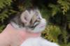unegagirln092421_small.jpg