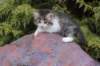 unegagirln09242_small.jpg