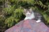 unegagirln09243_small.jpg