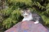 unegagirln09244_small.jpg