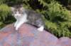 unegagirln09245_small.jpg
