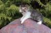 unegagirln09246_small.jpg