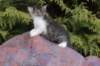 unegagirln09247_small.jpg