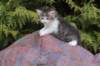 unegagirln09248_small.jpg