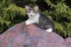 unegagirln09249_small.jpg