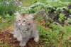 urielle11weeks226202311_small.jpg