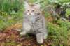urielle11weeks226202313_small.jpg