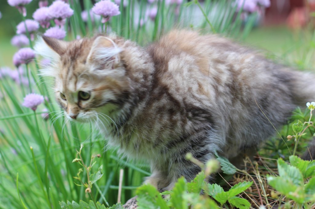 urielle11weeks226202320.jpg