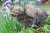 urielle11weeks226202320_small.jpg