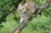 urielle12weeks17202312_small.jpg