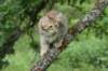 urielle12weeks17202314_small.jpg