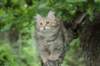 urielle12weeks1720231_small.jpg