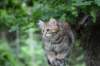 urielle12weeks1720232_small.jpg