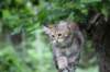 urielle12weeks1720233_small.jpg