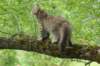 urielle12weeks17202344_small.jpg