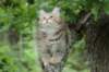 urielle12weeks17202363_small.jpg
