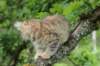 urielle12weeks1720239_small.jpg