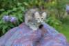 urielle95viikkoa126202342_small.jpg