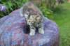 urielle95viikkoa126202353_small.jpg