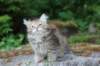 urielle10weeks176202319_small.jpg