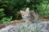 urielle10weeks176202320_small.jpg
