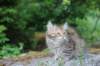 urielle10weeks176202321_small.jpg