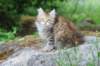 urielle10weeks176202328_small.jpg