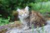urielle10weeks176202330_small.jpg