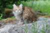 urielle10weeks176202331_small.jpg