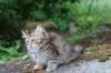urielle10weeks176202346_small.jpg