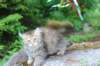 urielle10weeks176202349_small.jpg
