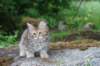 urielle10weeks176202350_small.jpg