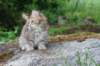 urielle10weeks176202352_small.jpg