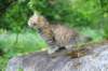 urielle10weeks176202367_small.jpg