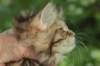 urielle11_small.jpg