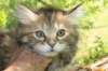 urielle4_small.jpg