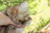 urielle5_small.jpg