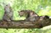 urielleandursulina5_small.jpg