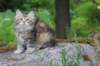 ursulina10weeks176202310_small.jpg