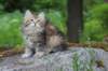 ursulina10weeks176202312_small.jpg