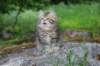 ursulina10weeks176202317_small.jpg