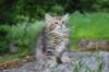 ursulina10weeks176202318_small.jpg