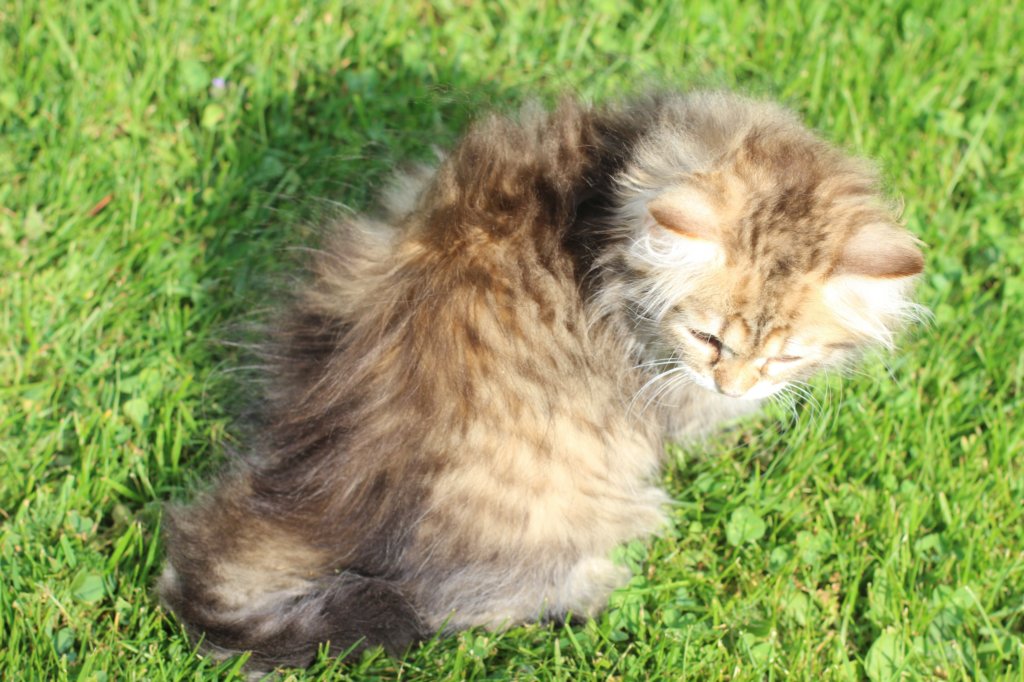 ursulina10weeks17620233.jpg