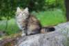 ursulina10weeks176202336_small.jpg